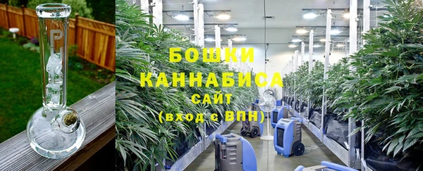 СК Зеленокумск